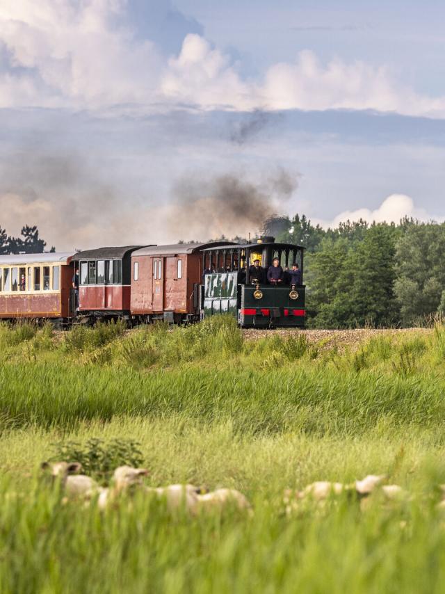 France, Somme (80), Baie de Somme, Noyelles-sur-mer, Fête de la vapeur 2021, trains à vapeur sur la digue entre noyelles et Saint-Valery // France, Somme (80), Bay of the Somme, Noyelles-sur-mer, Steam Festival 2021, steam trains on the dam between noyelles and Saint-Valery