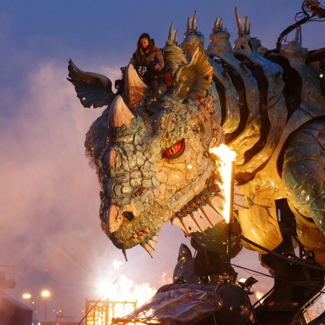 Calais_Le Dragon © CRTC Hauts-de-France - Anne-Sophie Flament
