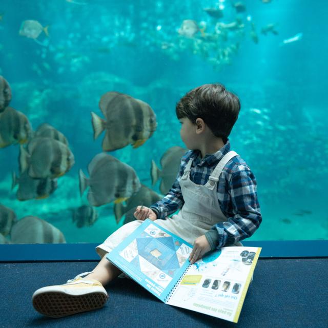 Carnet éducatif pour enfant - visite à l'espace Haute Mer, balcon haute mer