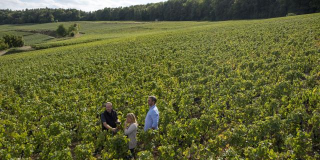 Aisne_Couple_Balade_Vignoble_De_Champagne © CRTC_Hauts_De_France_Benjamin_Teissedre