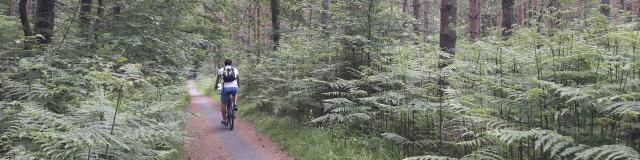 Compiègne _ Pistes Cyclables en Forêt © CRTC Hauts-de-France - Maïté Domisse