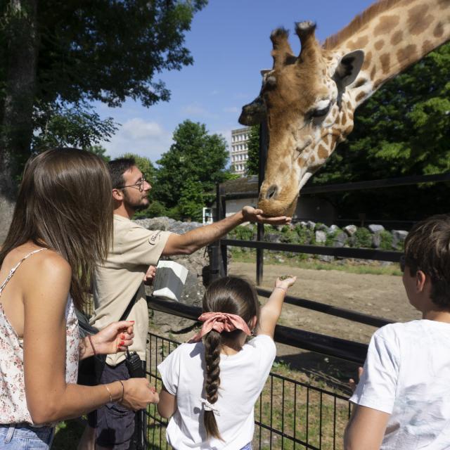 Maubeuge le zoo credits OT Avesnois