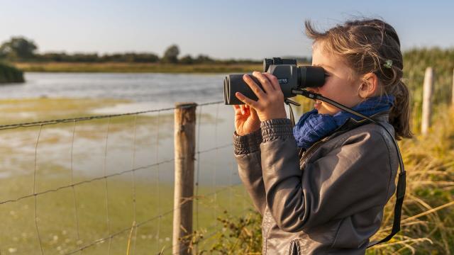 Enfants qui observent les oiseaux avec une paire de jumelles au marais du Crotoy - Baie de Somme - Credit CRT HDF Stephane Bouilland