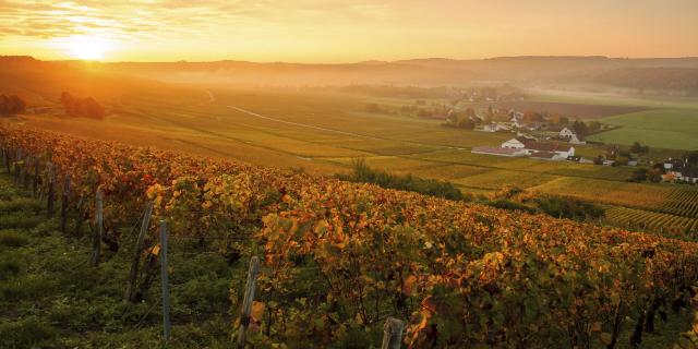 Essômes-sur-Marne _ Vignobles de Champagne © CRTC Hauts-de-France - Vincent Colin