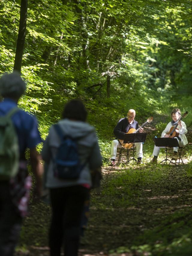 Compiègne_Festival des Forêts_balade musicale © Crtc Hauts de France - Benjamin Teissedre
