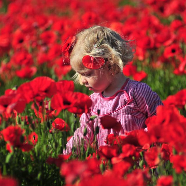 Filette Coquelicots ©CRT Hauts-de-France – Nicolas Bryant