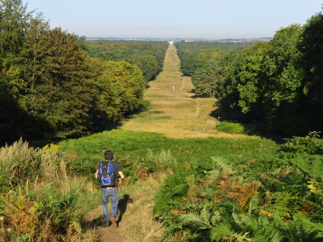 Compiègne, forêt de Compiègne et trouée des Beaux-Monts ©CRTC Hauts-de-France - Hervé Hughes