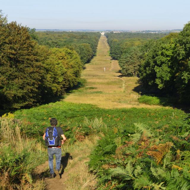 Compiègne, forêt de Compiègne et trouée des Beaux-Monts ©CRTC Hauts-de-France - Hervé Hughes