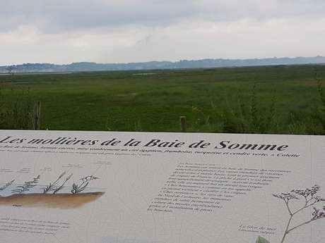 Belvédère les Mollières de la Baie de Somme