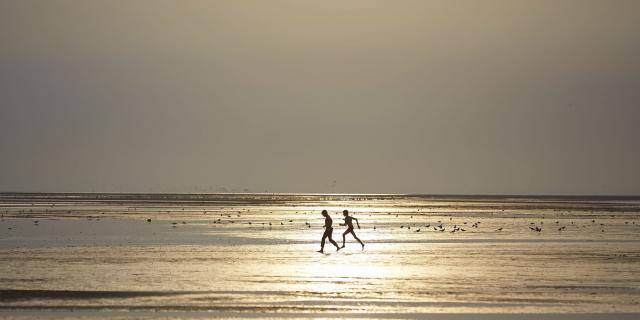 Le Crotoy _ Balade sur la Plage à Marée Basse © CRTC Hauts-de-France - Guillaume Crochez