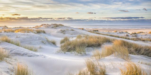 Le Touquet-Paris-Plage Dunes au soleil couchant © CRTC Hauts-de-France - Ishak Najib