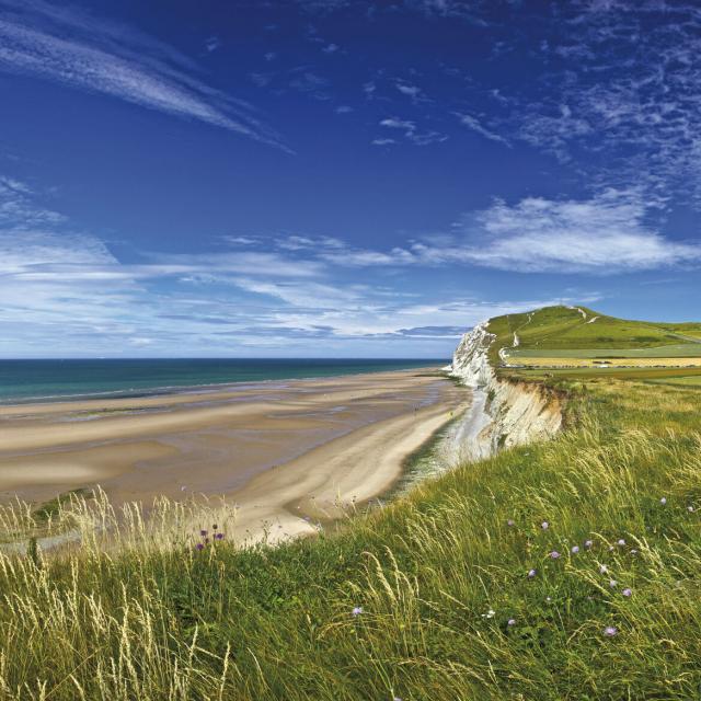 Escalles _ Cap Blanc Nez _ Promeneurs sur les falaises © CRTC Hauts-de-France - Eric Desaunois