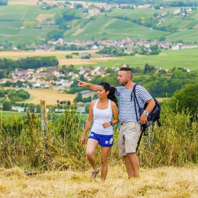 Aisne _ Randonnée dans le vignoble de champagne ©Aisne Tourisme - Sylvain Cambon