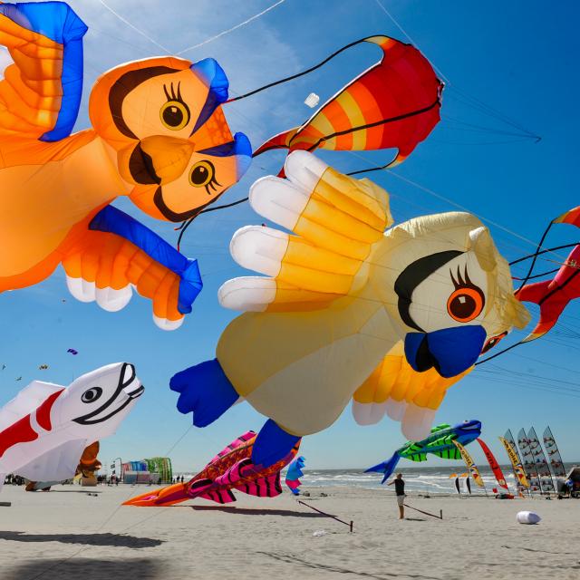 Berck-sur-Mer _ Rencontres Internationales de Cerfs-Volants © Ville de Berck-sur-Mer