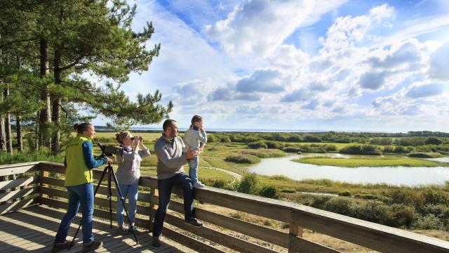 Saint-Quentin-en-Tourmont, Parc ornithologique du Marquenterre, Baie de Somme ©CRTC Hauts-de-France - Anne-Sophie FLAMENT