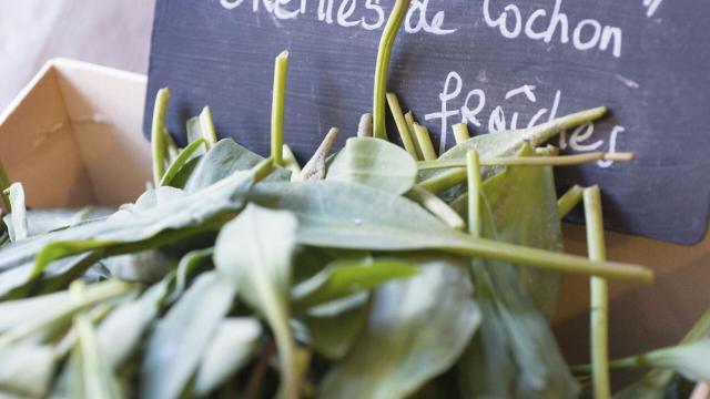 Saint-Valery-Sur-Somme_Boutique De Produits De La Mer © CRTC Hauts-de-France - Nicolas Bryant