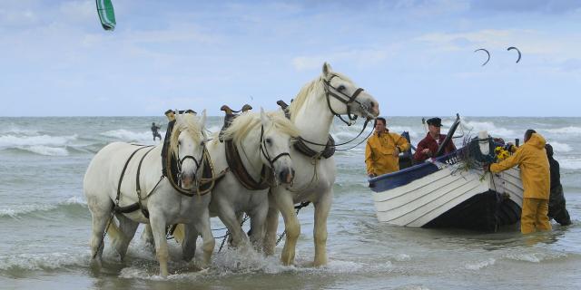 Wissant_fête du flobart_pêche©CRTC Hauts-de-France – Anne-Sophie Flament